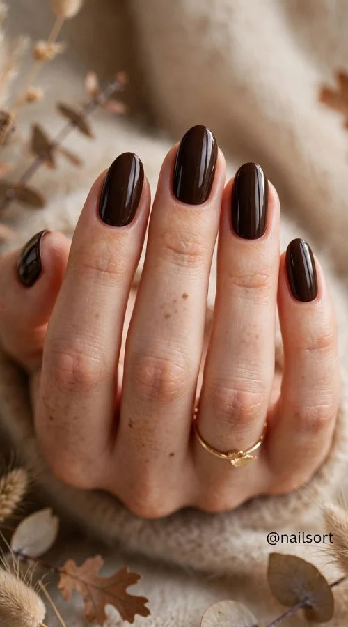 Espresso Brown Nails