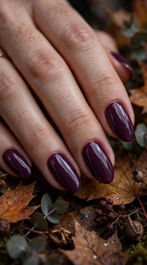 Plum Fall Nails 