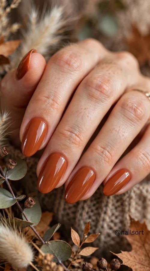 Terracotta Fall Nails 