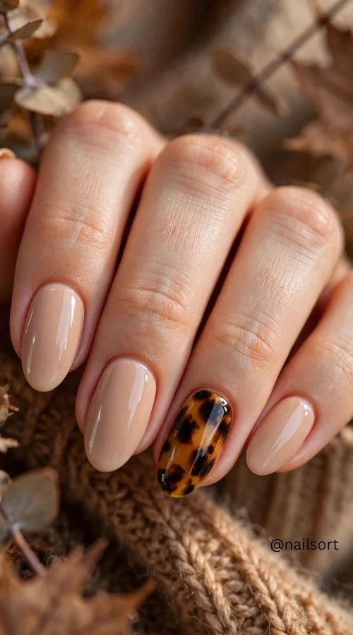 Tortoiseshell Accent Art